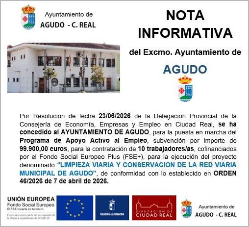 Programa de Apoyo Activo al Empleo
